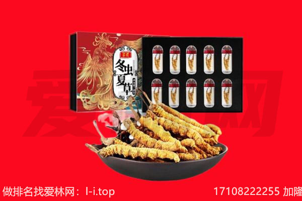 雅安市芦山回收虫草.jpg